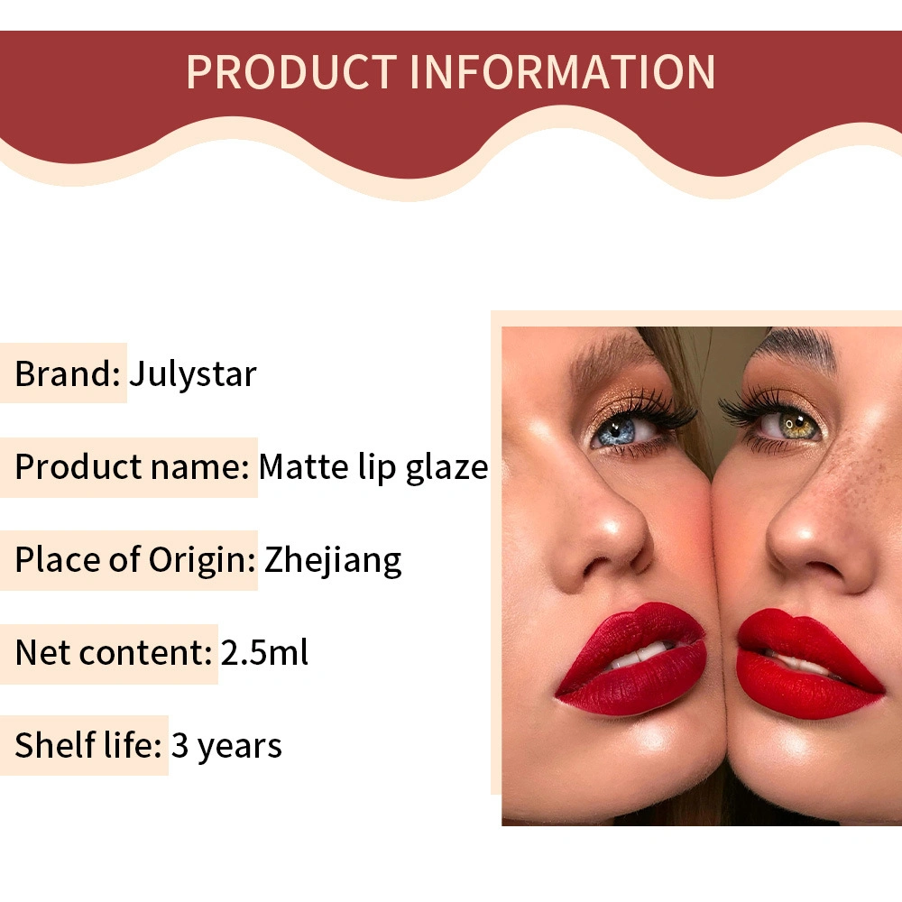 Wholesale Hot Sale Long Lasting Waterproof Matte Lip Gloss